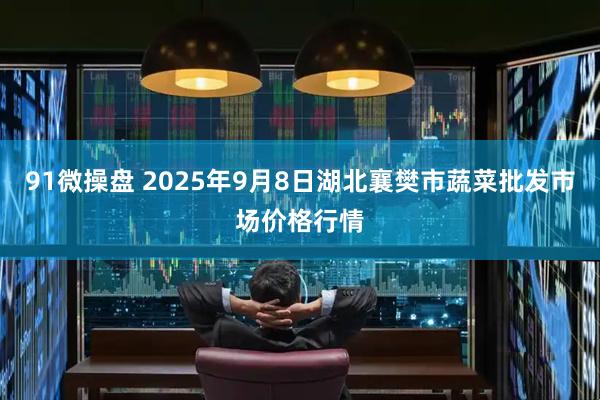 91微操盘 2025年9月8日湖北襄樊市蔬菜批发市场价格行情