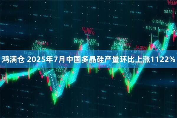 鸿满仓 2025年7月中国多晶硅产量环比上涨1122%
